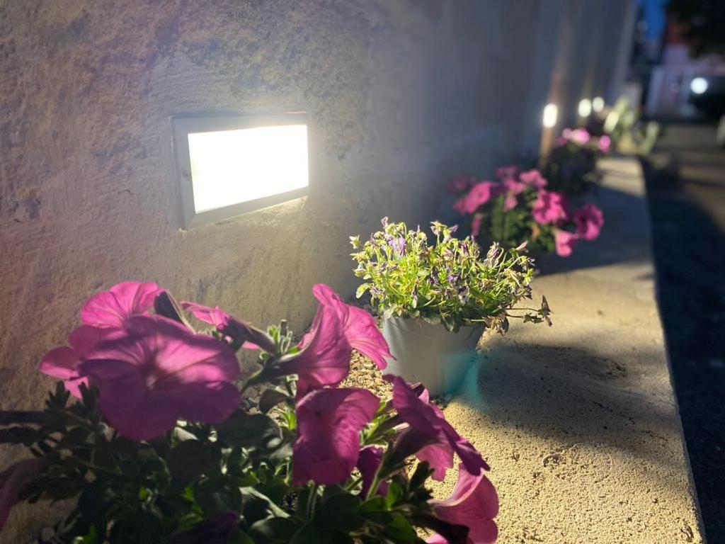Squinzano Viro House Bed & Breakfast エクステリア 写真