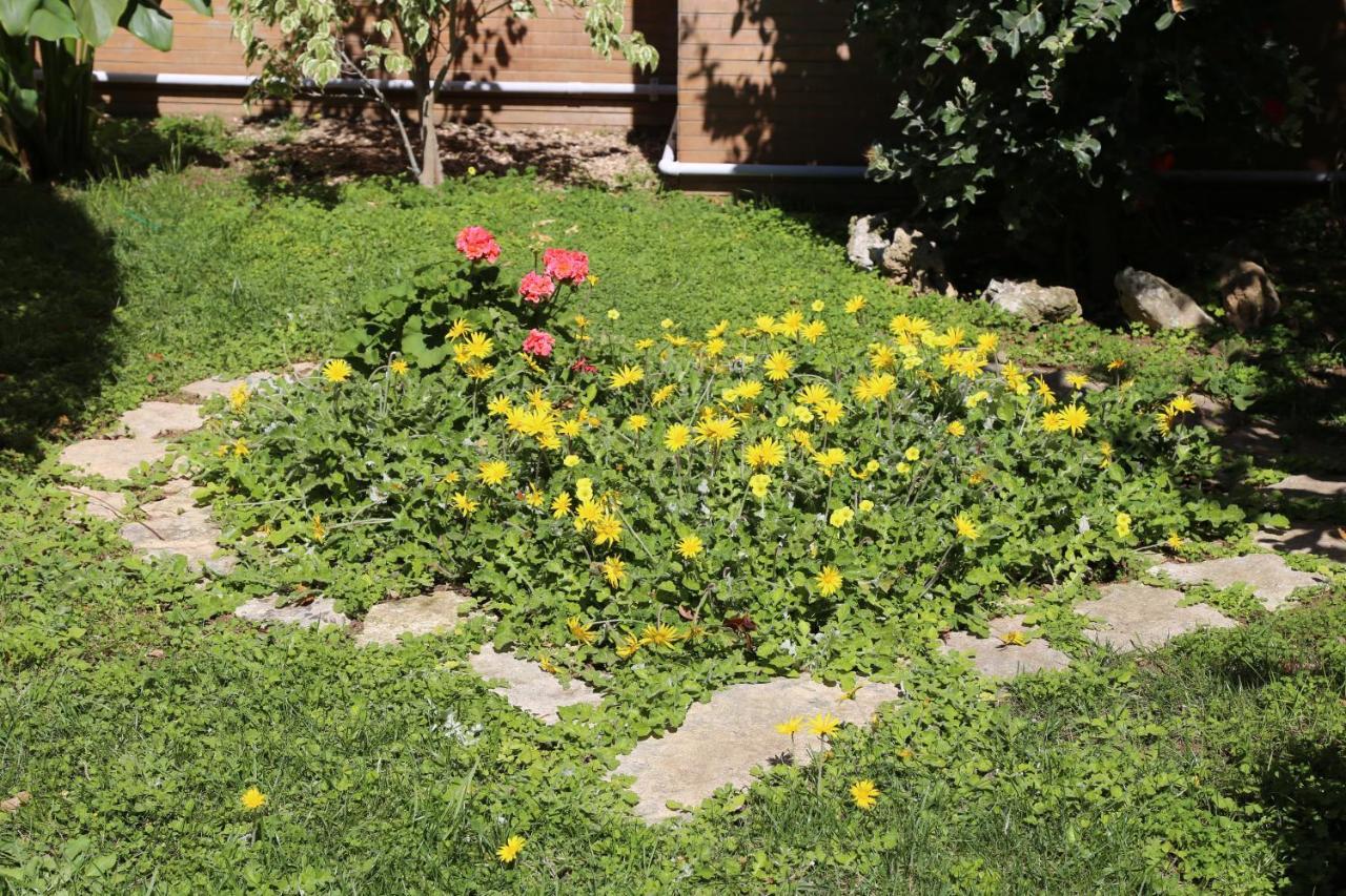Squinzano Viro House Bed & Breakfast エクステリア 写真